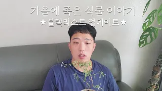 거실정원 죽어가는 식물 4종류와 식물 블랙리스트 공개!