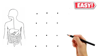 12 dots की मदद से human digestive system diagram class 10 // માનવ પાચન તંત્રનું ચિત્ર