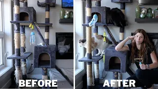 Spring Cleaning w/ pets! | So satisfying!