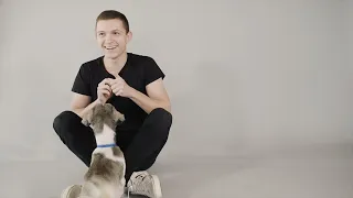 Tom Holland Meets Battersea Dogs