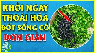 🍃 Điều Trị Thoái Hóa Đốt Sống Cổ Hiệu Quả Ngay Trong 1 Ngày Bằng Nắm Ngải Cứu Mọc Đầy Vườn