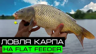 ЛОВЛЯ КАРПА НА FLAT FEEDER / Рыбалка на озере Лютце / Fros Fishing