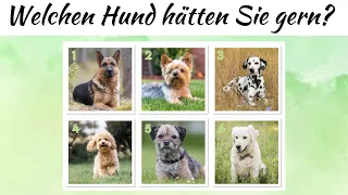 Interessanter TEST: Der Hund, den Sie wählen, wird Ihnen alles über Sie verraten.