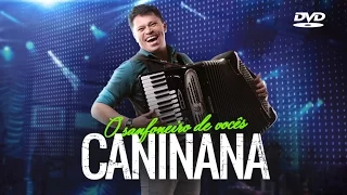 DVD Caninana do Forró