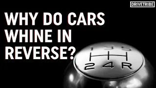 Why do cars whine in reverse? – Mike's Mechanics