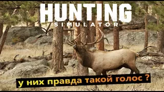 Hunting Simulator #У них правда такой голос?