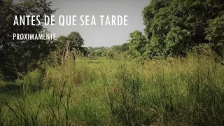 ANTES DE QUE SEA TARDE - TRAILER