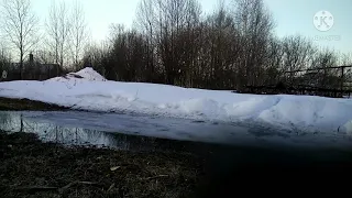 Манок акриловый ZINK,для охоты на белолобого гуся.