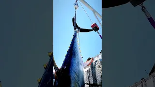 Giant tuna hunted by fiserman in the deep sea #shortvideo #shorts #trending #tuna #giant #fisherman