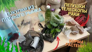 ПОКУПКИ ИЗ ПТИЧЬЕГО РЫНКА САДОВОДА МОСКВА (ОСЕНЬ 2022) l ТЕЛЕСКОПЫ, РАКИ, ПЕТУШКИ, КОРМА, РАСТЕНИЯ