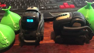 The Famous Question….  why can the guy make a cozmo 2.0 and duddle can not?