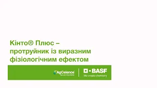 Кінто® Плюс – протруйник із виразним фізіологічним ефектом