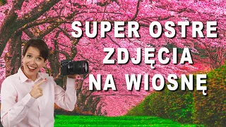 👉6 SPOSOBÓW na super ostre zdjęcia na wiosnę.  Fotografia jest prosta