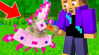 MINECRAFT pero PUEDES CREAR ARMAS de CUALQUIER MOB 🐄🔫 HARDY y TROLERO