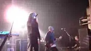 System of a Down - Live Cologne 2005 - Deer Dance [Clip]