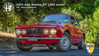 1975 Alfa Romeo GT 1300 Junior driving video