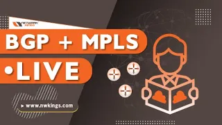 Level 1 - BGP MPLS Training || Network Kings