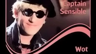 Captain Sensible - Wot (the only extended version)