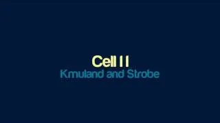 Kmuland and Strobe - Cell II