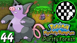 Purity Forest With 386 Pokemon | PART 44 | Grumpig
