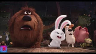 The Secret Life Of Pets  2017  The Under Belly (3/5) DopeClips