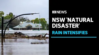 Relief for Sydney as heavy rain heads north, floods declared natural disaster | ABC News