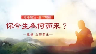 龍德上師：你今生為何而來？