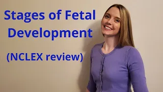 THE STAGES OF FETAL DEVELOPMENT | NCLEX REVIEW