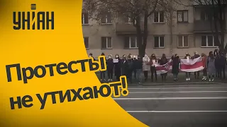 В Беларуси всё ещё продолжаются протесты и забастовки!