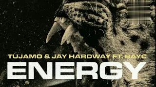 Tujamo & Jay Hardway - Energy (feat. BayC)Extended Mix]