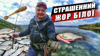 Найкращий час для наноджигу! Жор червонопірки та плітки - як легко наловити на спінінг?