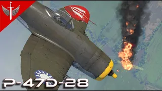 1v5 Clutch In The P-47D-28