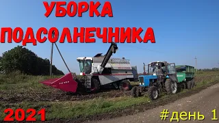 Уборка Подсолнечника 2021 началась в Краснодарском Крае/Молотим Подсолнечник/Уборочная Подсолнечника