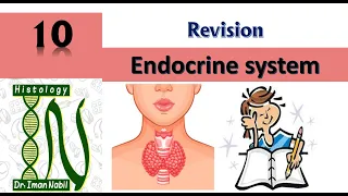 Endocrine revision