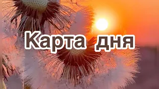 Карта дня на 30 мая 2021 года на картах Таро. Гадание  онлайн