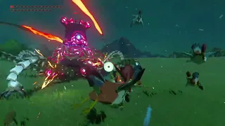 Guardian VS Cucco | zelda Botw |