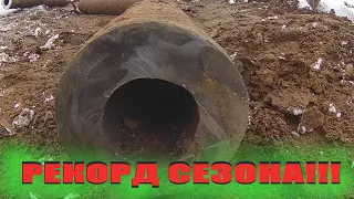 РЕКОРДНЫЙ ВЕС ЗА ЭТОТ СЕЗОН.