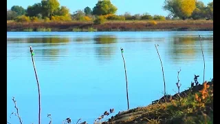 РЫБАЛКА НА ЗАКИДУШКИ С НОЧЁВКОЙ. СПИННИНГ В ОКТЯБРЕ. РЫБА ВСЯКАЯ ЕСТЬ.