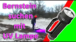 Bernstein suchen UV Lampe