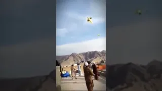 Quetta Biggest Kite 40 Tawa Beautiful/ with Dunger Group