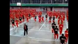 Cebu Dancing Inmates - Gangnam Style (2012)