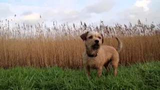 ' De mooiste plekken in Raalte! '