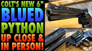 Colt's New 6" BLUED Python...Up Close and In Person!!