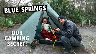 MANATEES & Our Camping SECRET at Blue Springs State Park, Florida