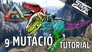 ARK Tutorial - 9.Rész (Mutáció Bemutatása Boss-ra Készülő Rexekkel🦖) - Stark