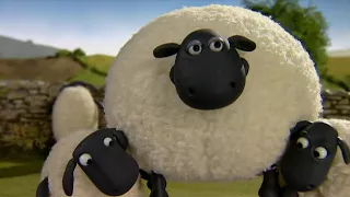 Shaun, vita da pecora - stagione 1 episodio 16 - "Timmy la trottola"