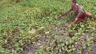 Ep.23 ang daming tilapia at dalag 40 kilos plas yong huli #electricfishing #kinabuhingpobre #plongpl