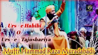 Mufti Hammad Raza Muradabadi new taqreer Urs-e-Habibi o Urs-Tajusariya