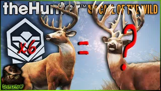 We Killed 6 Diamond Whitetail In 30 Minutes To Try And Get A Great One! Call of the wild