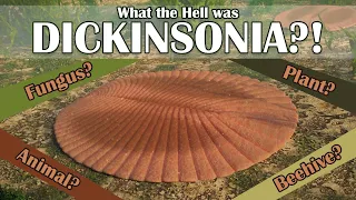 What the Hell was Dickinsonia?!